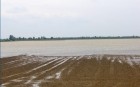 Mohács térségében két vízfolyáson kell árvédekezési tevékenységet végezni