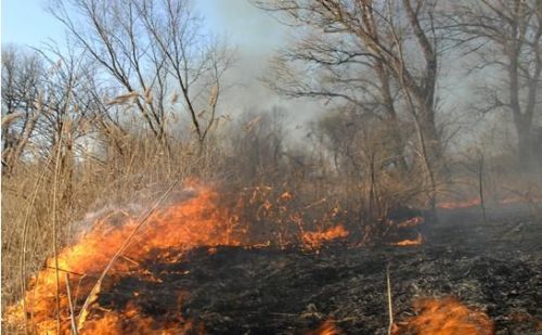 Az erdőkre, valamint az erdőterületek határától számított kétszáz méteren belüli területen általános, országos tűzgyújtási tilalmat rendelt el hétfőtől  a vidékfejlesztési miniszter.