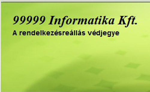 Innovatív EU-s projektben vehet részt a 99999 Informatika Kft.