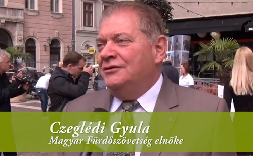 Czeglédi Gyula, a Magyar Fürdőszövetség elnöke