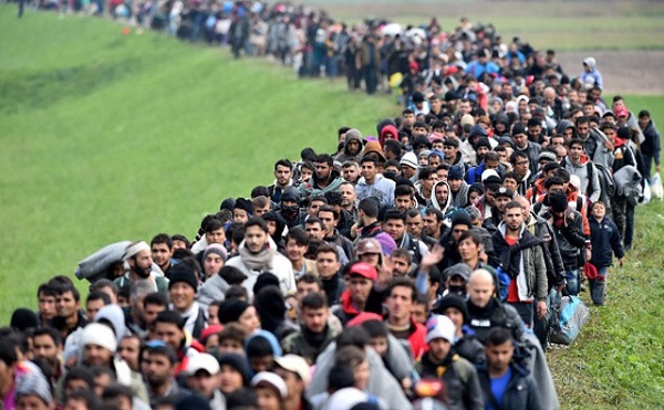 A migráció gyökerét kell megkeresni