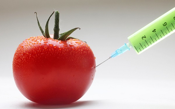 Fazekas: a vízhiányt nem szabad a GMO terjesztésével orvosolni
