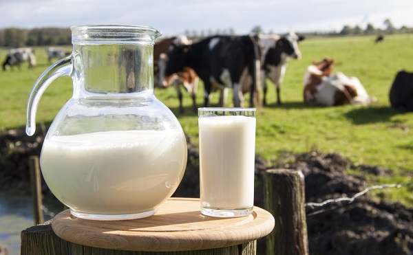 Több mint 20 milliárddal emelte meg a kormány a tejágazat szerkezetátalakításának keretét