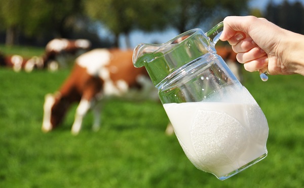 Újabb támogatás a tejtermelőknek
