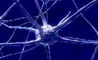 Nemzeti Laboratóriumot hoztak létre az idegrendszeri betegségek gyógyításának javítására