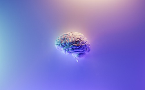 Az agyi funkciók vizsgálatát fejlesztik Szegeden
