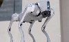 Magyarországon is elérhetőek lesznek a kínai robotkutyák