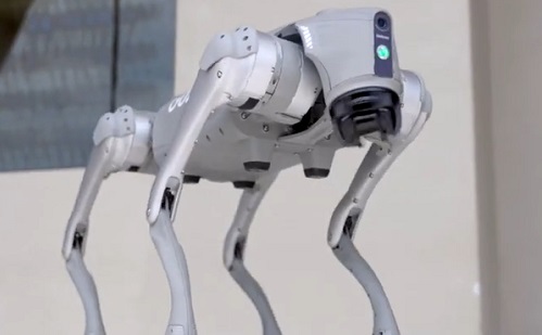 Magyarországon is elérhetőek lesznek a kínai robotkutyák